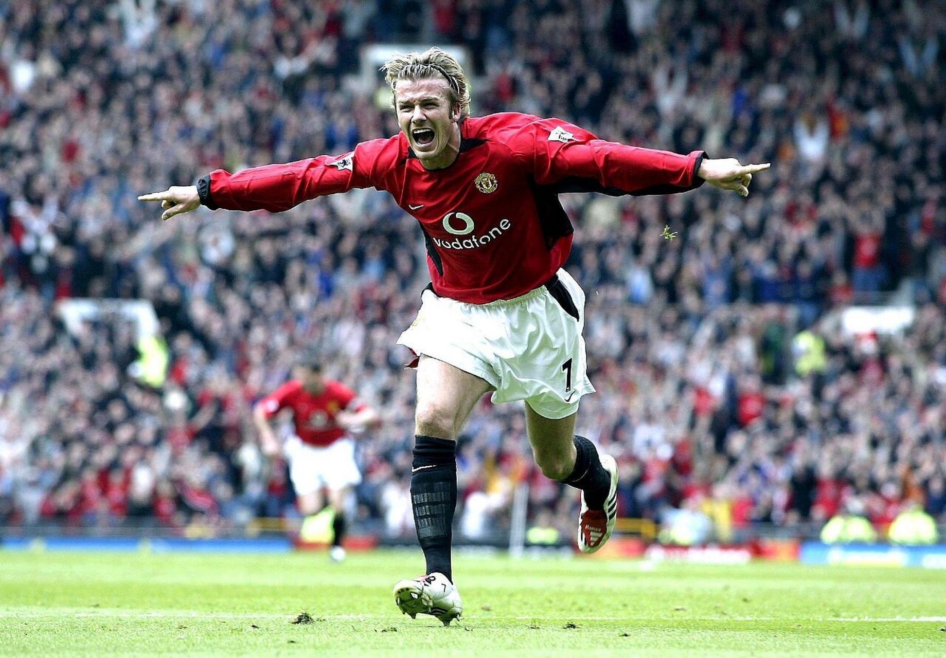 分为两派 分为两派