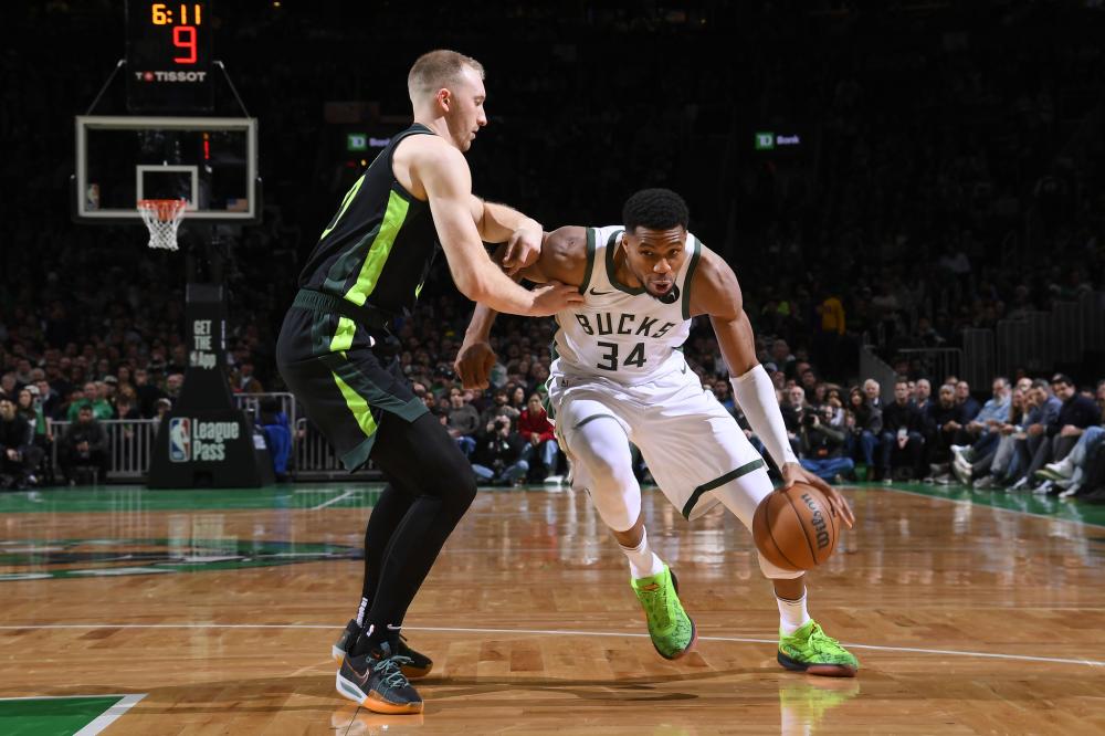 不仅展示了 不仅展示了